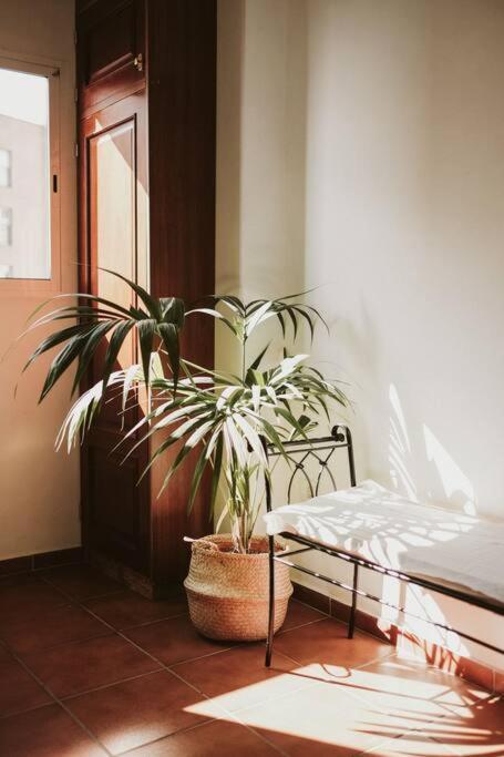 Apartamento De La Candelaria I سانتا كروز دي تينيريف المظهر الخارجي الصورة
